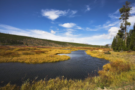 The picturesque twisting small river, fenny coast and yellow autumn grass