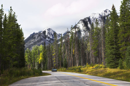  Automobile travel to northern reserves in the fine autumn