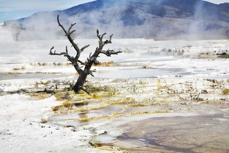 Improbably fantastic landscape in Yellowstone national Parkの写真素材