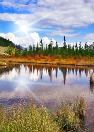  Brilliant small lake and low fur-trees on coast

の写真素材