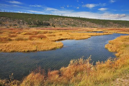 Silent soft autumn day - plain, a yellow grass and a stream in Yellowstone national parkの写真素材