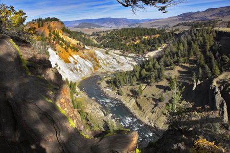 Woody canyon of the river in well-known Yellowstone national park. More magnificent pictures from the American and Canadian National parks you can look hundreds in my portfolio. Welcome!の写真素材