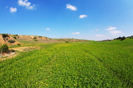 Blossoming spring plain-grass, camomiles and hills in the distanceの写真素材