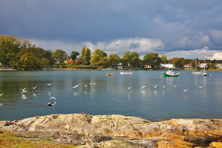 Seagulls fly above water of passage of island Vancouver. Autumn, sunset