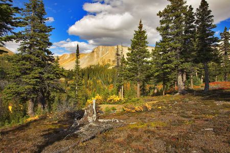  Northern country blossoming by bright autumn paintsの写真素材