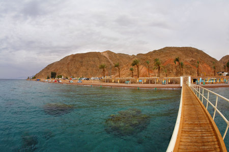 Coral reeves at coast of the resort city of Eilat