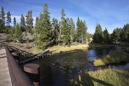 The wooden foot small bridge through a stream in wild districtの写真素材
