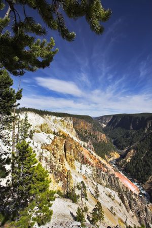 Woody canyon of the river in well-known Yellowstone national parkの写真素材