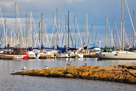 Sailing and motor yachts in passage of island Vancouver, Canadaの写真素材