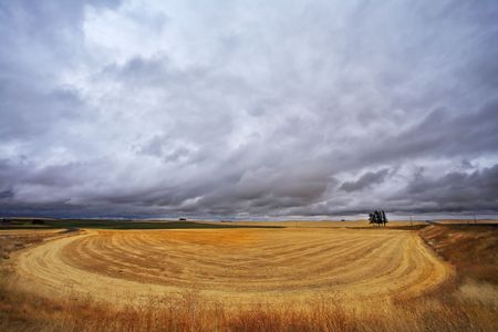 Huge fields of state of Montana after harvesting の写真素材