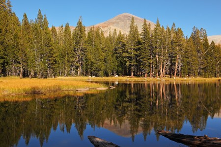 A quiet lake, surrounded by woods, in the mountains of Yosemite Park. Early autumn morningの写真素材