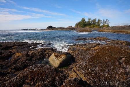 Vancouver Island. Evening low tide on the Pacific beach, wet sand and puddlesの写真素材