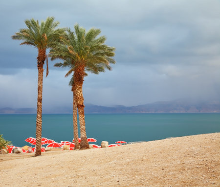 Winter on the Dead Sea. Red umbrellas and purple thunderheads
