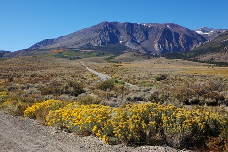 The road to the picturesque autumnal colors of the steppe. In the distance rises the jagged mountain rangeの写真素材