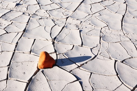 Small stone of sandstone on the cracked ground of desert in Death valley in the USAの写真素材