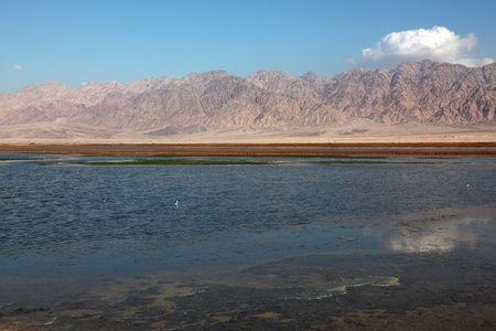 Superficial reservoir in desert between Israel and Jordanの写真素材