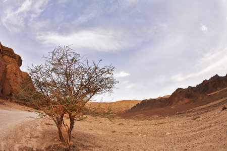 Dramatic Black canyon in mountains of Israelの写真素材