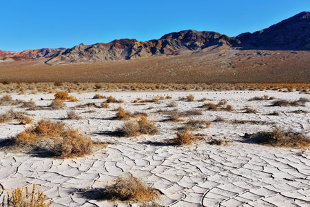 Magnificent greater sandy dune Eureka in Dead Walley national Park on sunriseの写真素材