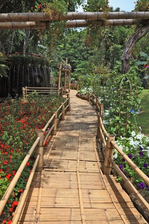 Gorgeous huge park on the island Madeira. Bamboo path around the fountainの写真素材