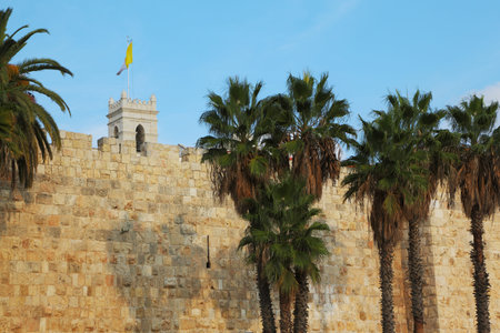 Walls of Jerusalem ancient. Palm trees and flagsの写真素材