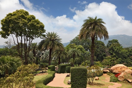 A masterpiece of landscape design - a huge and beautiful park in Thailand  Palm trees and flowers の写真素材