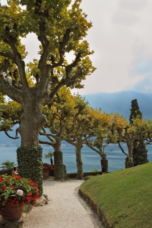 Magnificent park at the Italian villa-museum Balbyanello. Lake Como in the misty haze
の写真素材