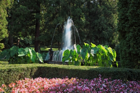 This charming fountain in a beautiful park  A huge bed of pink flowersの写真素材