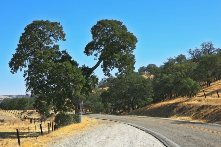 The road in the hills and treesの写真素材
