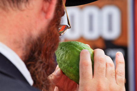 Bnei Brak - September 22: An orthodox Jew in glasses  picks citrus before the holiday of Sukkot September 22, 2010 in Bnei Brak, Israelのeditorial素材