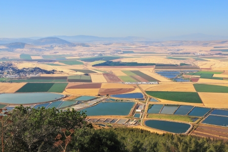 Picturesque squares colored fields of the valley of Galilee. Photographed from Mount Barkanの写真素材