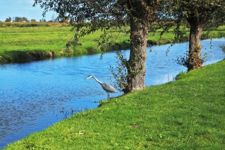 Blue water is a narrow channel in the green grassy banksの写真素材