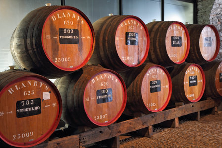 MADEIRA  ISLAND, PORTUGAL - OCTOBER 8: Classic huge oak barrels of wine  Madera. Storage of wine...