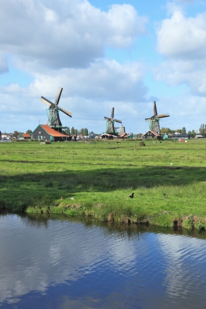 The village - an ethnographic museum in Holland  Three windmills on a green meadow, among deep channelsの写真素材