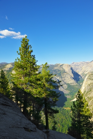 Mountains and pines on a sunset. A survey platform in Yosemite national park - Glacier Point.の写真素材