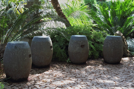 Shady clearing in tropical parkの写真素材