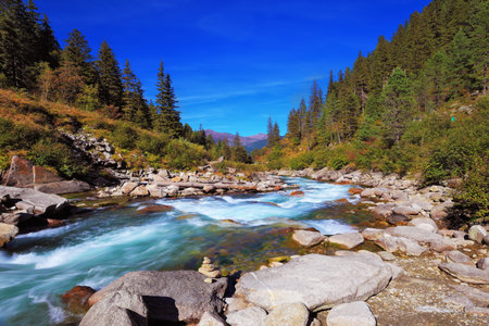 Pastoral in the Alpine mountain valley in Austria. Cascades of cold water at the source of the famous Krimml waterfalls. Rapid mountain stream of coniferous forestsの写真素材