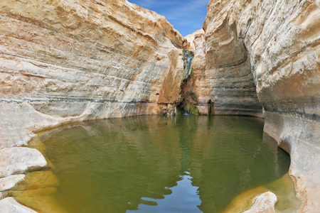 Canyon Ein Avdat in Israel. Sandstone canyon walls form round bowl. Thin jet waterfall form cold lakeの写真素材