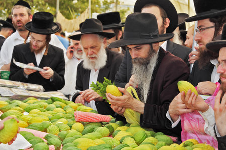 BNEI- BRAK, ISRAEL - SEPTEMBER 17, 2013: Counter with Citron. Traditional market before the holiday of Sukkot. Religious Jews in black hats and skullcaps carefully selected ritual fruits  のeditorial素材