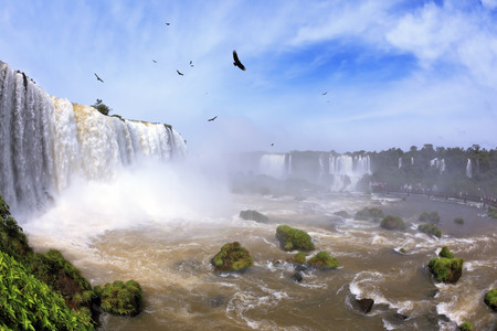 Waterfalls and birds in Brazil. Black Andean condors fly over the foamy waterfalls of Iguazu. The picture was taken Fisheye lensの写真素材