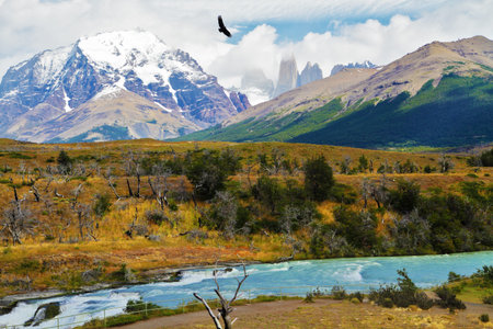 Scenic National Park in southern Chile.  River and waterfall "Cascades Paine"の写真素材