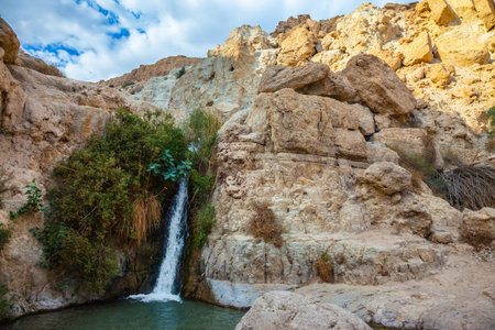 The journey through the national park and reserves Ein Gedi, Israel. Adorable waterfall among rocks parched desertの写真素材