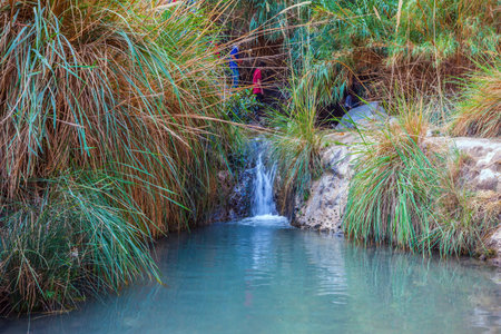 The picturesque waterfall and small deep lake with emerald water. Walk in the Ein Gedi Nature Reserveの写真素材