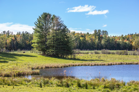 Golden Autumn in Canada. Pretty shallow lake surrounded by trees yellowedの写真素材