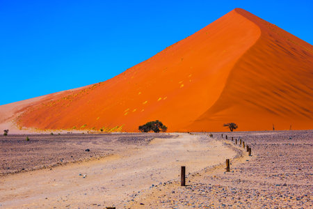 The most famous is  huge orange dune 45.  Travel to Namibia. Namib-Naukluft National Parkの写真素材