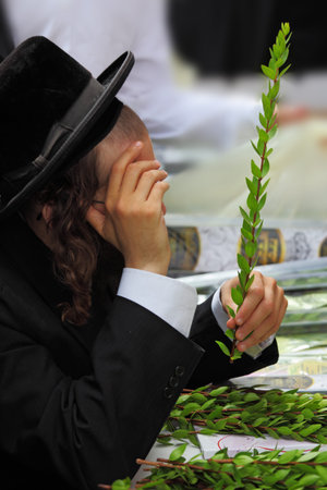 A religious Jew chooses myrtle / Adas / - on holiday bazaar on the eve of Sukkoth.September 22, 2010, Sukkoth market, Bene Brak, Israelのeditorial素材