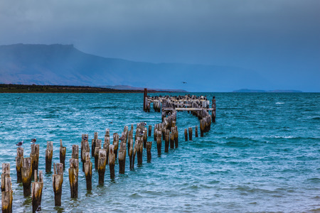 Strait of Magellan summer February afternoon. Waterfront, Punta Arenas.  Piles of the destroyed mooring act from waterの写真素材