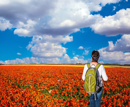 Woman - tourist with backpack admiring the floral field. Concept of rural and recreational tourism. The bright southern sun illuminates the fields of red garden buttercupsの写真素材