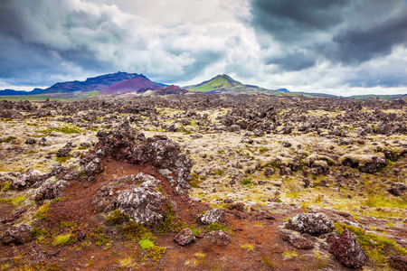 Gloomy Iceland in the summer. Fields covered with lava, in the central part of the islandの写真素材