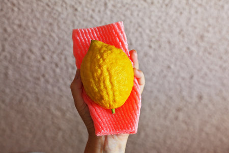Ritual fruit - Etrog in female hand on soft red case. Jewish holiday of Sukkot