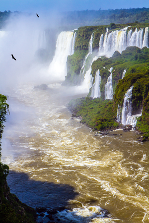 Andean condors fly in the water dust. The most full-flowing waterfalls Iguazu. Border of Argentina, Brazil and Paraguay. Concept of active and extreme tourismの写真素材